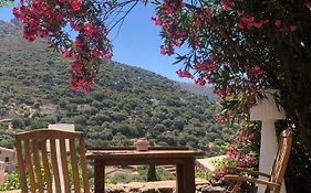 The Cosy Home Corbara By 1722